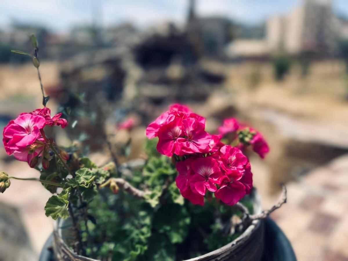 Appartement Ibn Khaldoon à Madaba Extérieur photo